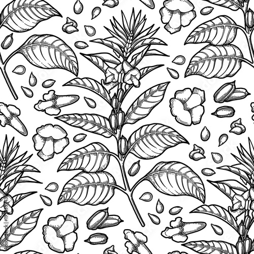 Graphic sesame pattern