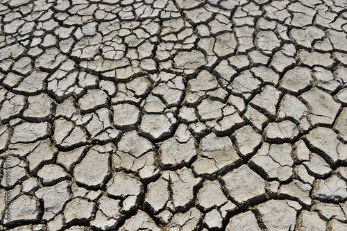 The parched soil