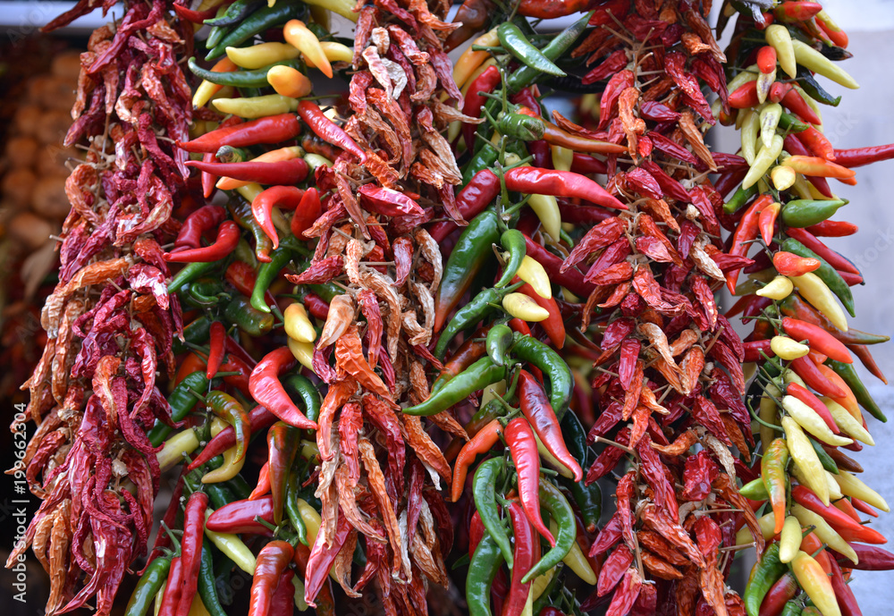 Several species of chili peppers.