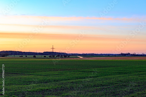 grünes landwirtschaftliches Feld bei Sonnenaufgang