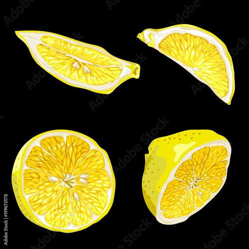 Set with parts of lemon fruit in different forms like slices and halves
