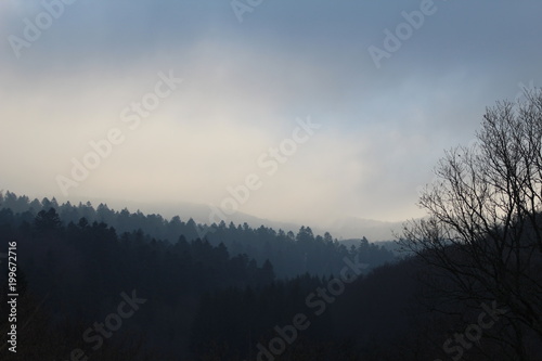 Landscape with a lot of mist