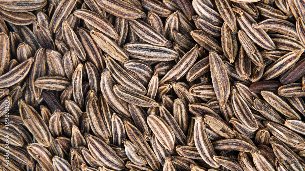 Close-up of caraway seeds as a spice background. Carum carvi. Beautiful harmonic texture from brown striped seasoning of dried cumin grains. Close-up of caraway seeds as a spice background. Carum carvi. Beautiful harmonic texture from brown striped seasoning of dried cumin grains.