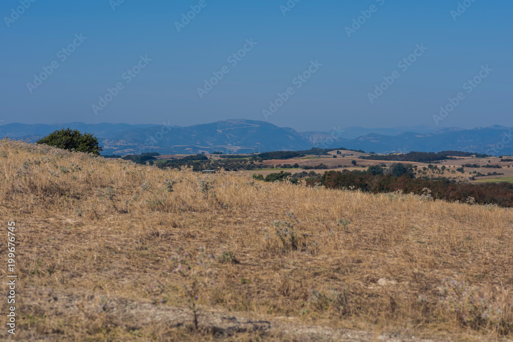 Landscape of the countryside and hay bales in Greece. Fields and agricultural machinery in Greece