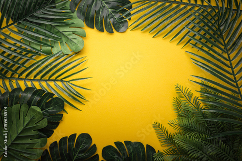 flat lay product display frame border of green tropical leaf frame on clor background with free copy space for your creativity ideas texts