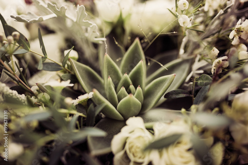 Succulent plant in the wedding bouquet