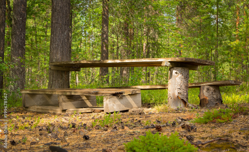 Wooden table and benches in a recreation park in the forest Wooden table and benches in a recreation park in the forest
