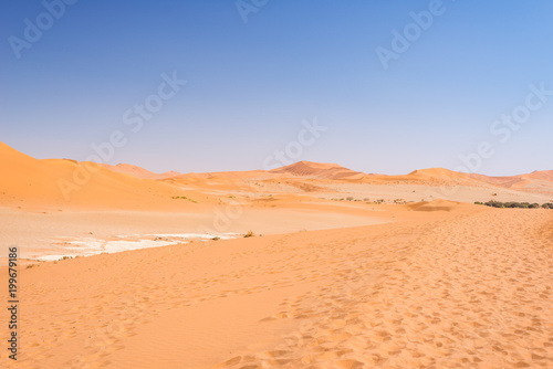 Sand dunes Namib desert  salt flat  roadtrip in the wonderful Namib Naukluft National Park  travel destination in Namibia  Africa.