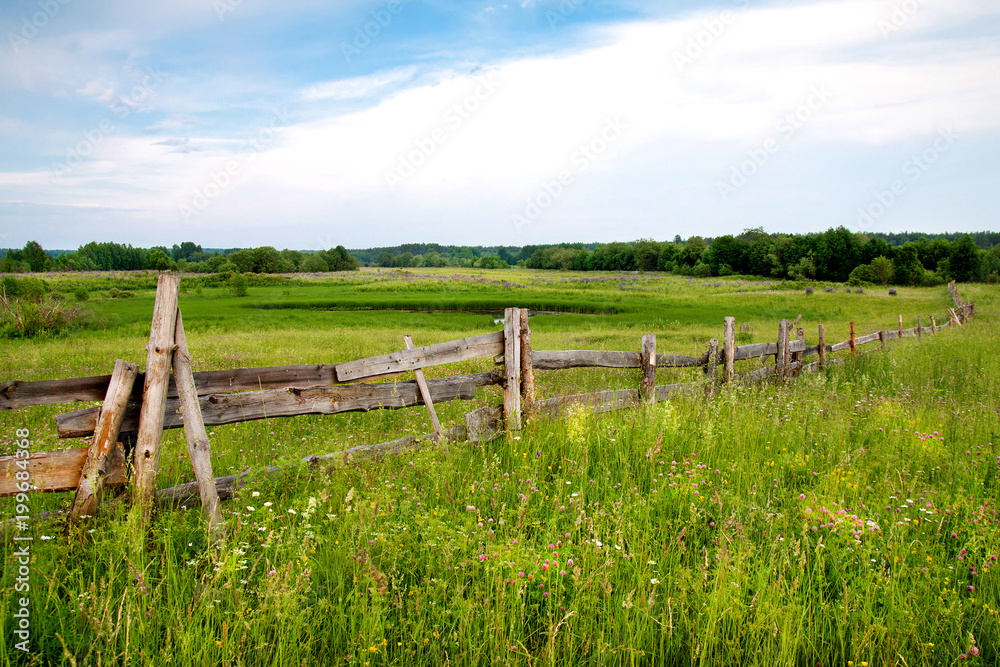Beautiful rural landscape with a wooden fence on a wild meadow