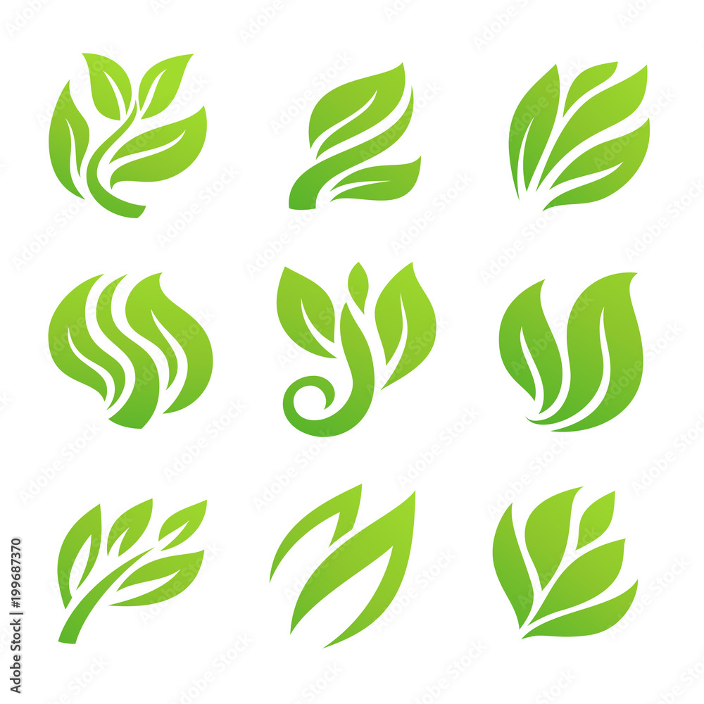 leaf icon leaf icon