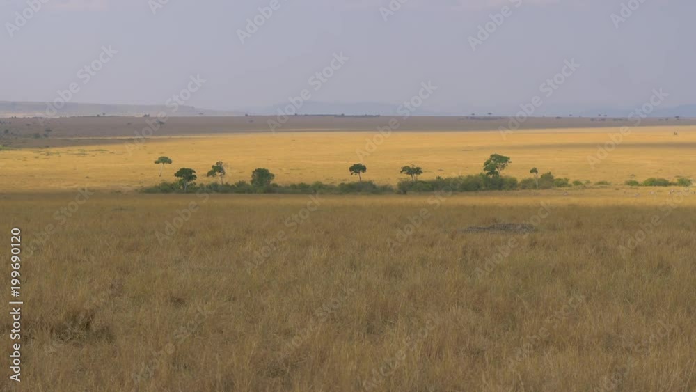 Masai Mara scenery Masai Mara scenery