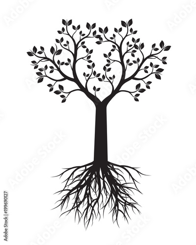 Black Tree with Leaves and Roots. Vector Illustration and graphic element.