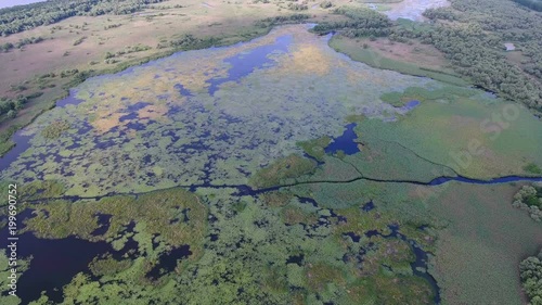 Aerial shot of a tiny boggy lake in the Dnipro basin with wild greenery photo