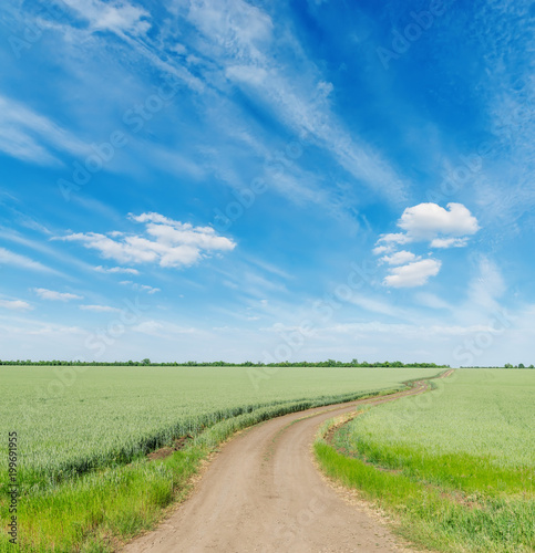 road in green agriculture fields and blue sky with clouds