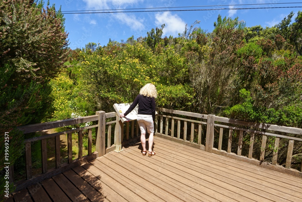 Teneriffa Weg der Sinne im AnagaGebirge Stock Photo Adobe Stock