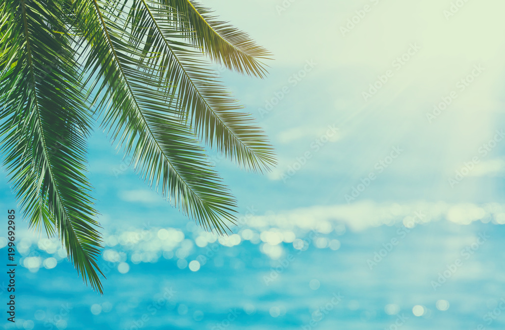 Abstract summer vacation and holiday background with natural green palm leaf over bokeh tropical sea waves. Copy space for vacation and business travel concept. Abstract summer vacation and holiday background with natural green palm leaf over bokeh tropical sea waves. Copy space for vacation and business travel concept.