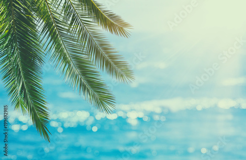 Abstract summer vacation and holiday background with natural green palm leaf over bokeh tropical sea waves. Copy space for vacation and business travel concept.