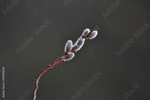 Wallpaper Mural bulbs  Torontodigital.ca