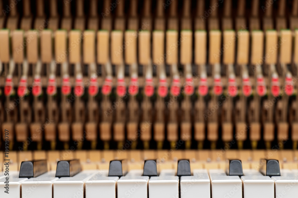close up image of grand piano keys and interior showing strings, hammer and structure background close up image of grand piano keys and interior showing strings, hammer and structure background