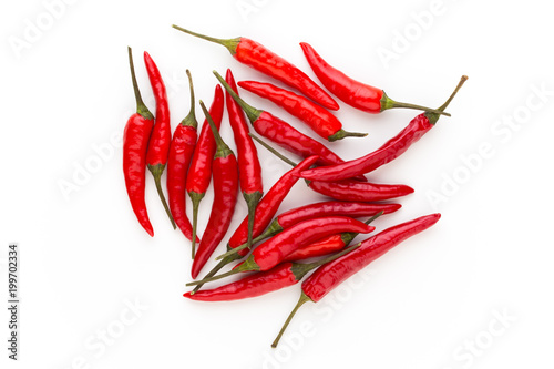 Group of chili peppers isolated on white background.