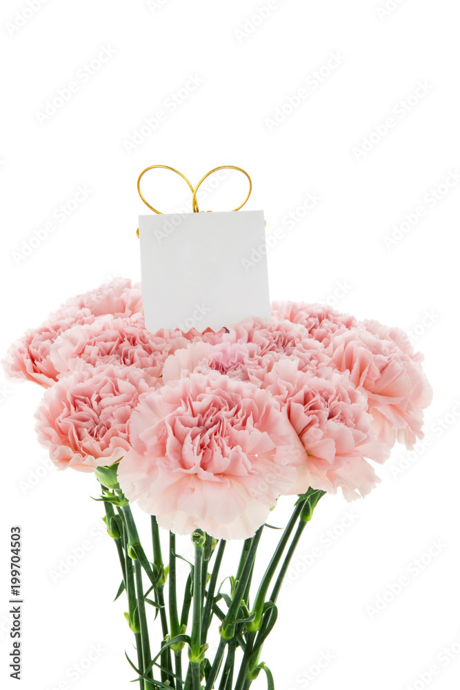 Happy Mother's Day, carnations representing mothers are in full bloom, and pink carnations are sent. Happy Mother's Day, carnations representing mothers are in full bloom, and pink carnations are sent.