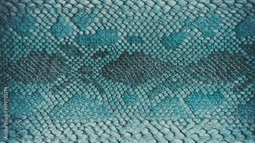 Snake skin background. Close up. 4k high quality footage.