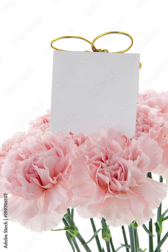 Happy Mother's Day, carnations representing mothers are in full bloom, and pink carnations are sent. Happy Mother's Day, carnations representing mothers are in full bloom, and pink carnations are sent.