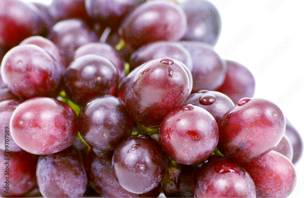 close up Purple grapes with water drops on white background