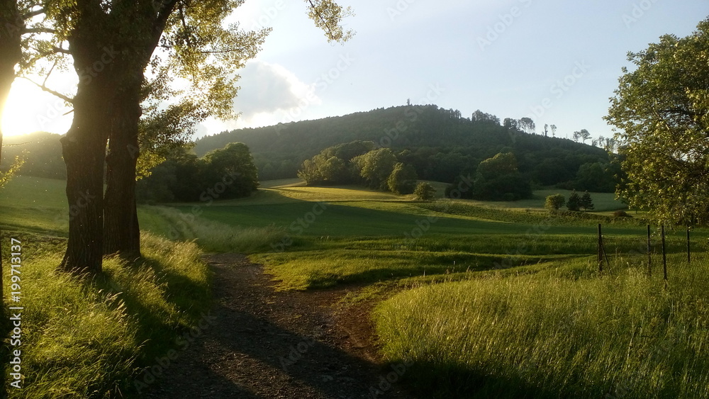 Fototapeta premium nature koprivnice czech republic