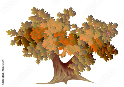 abstract autumn oak