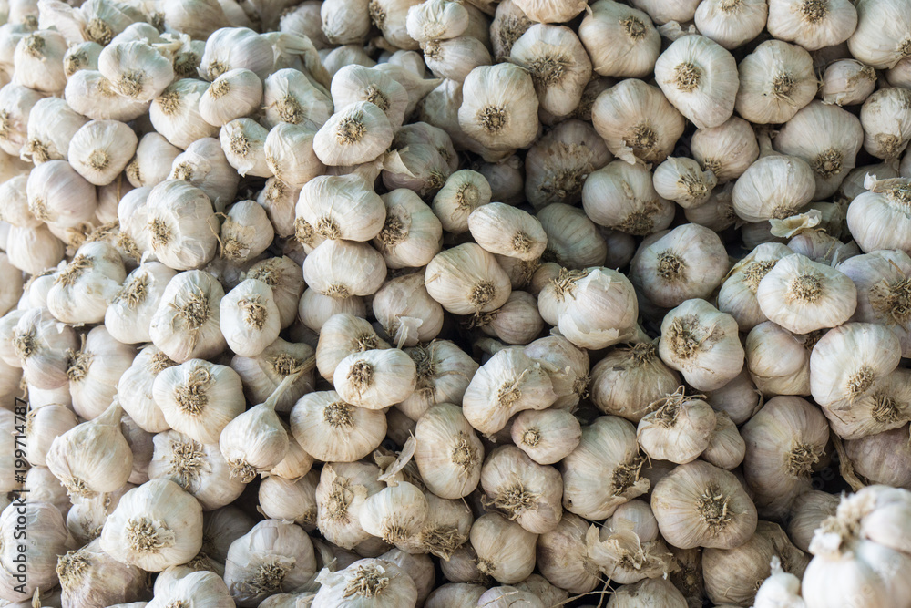 Garlic on display. a lot of fresh raw garlic a bunch of lies on the shelves., Fresh garlic in a market Garlic on display. a lot of fresh raw garlic a bunch of lies on the shelves., Fresh garlic in a market