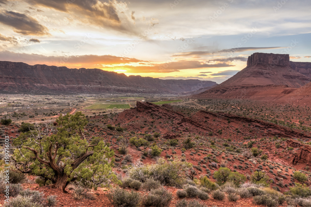 Fototapeta premium Castle Valley Porcupine Rim Sunset
