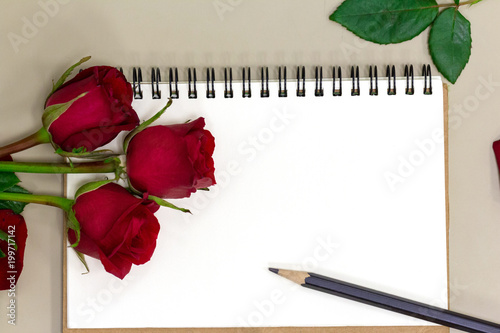 Fototapeta Naklejka Na Ścianę i Meble -  Red rose and notebook on white background space,valentine gift.