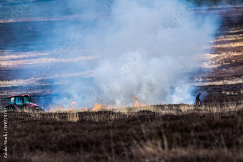 Obraz na plátně Burning the dead heather. North Yorks Moors