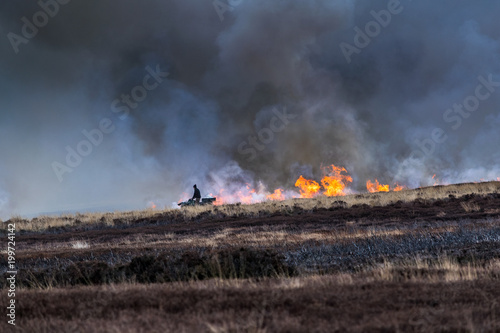 Fotografie Burning the dead heather. North Yorks Moors