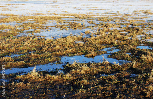 The surface of the earth with last year's grass and melting snow in late spring.