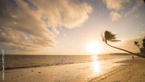 Lonely palm hanging on the beach during sunrise on Boracay. White beach at Boracay island  Philiphines.