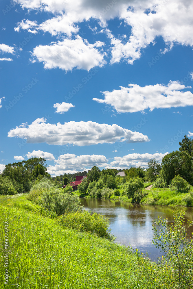 summer landscape with forest and river