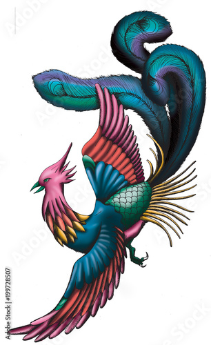 Chinese Phoenix illustration isolated © mardoz