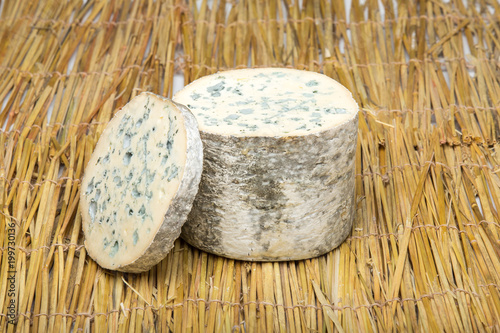 Fourme d'ambert