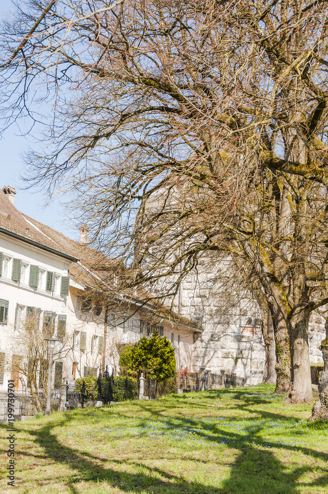 Solothurn, Riederholzturm, Stadtbefestigung, Schanze, Stadtmauer, Festung, Altstadt, Altstadthäuser, Frühling, Jura, Schweiz Solothurn, Riederholzturm, Stadtbefestigung, Schanze, Stadtmauer, Festung, Altstadt, Altstadthäuser, Frühling, Jura, Schweiz