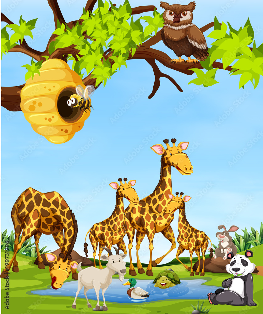 Obraz premium Wildlife animals scene