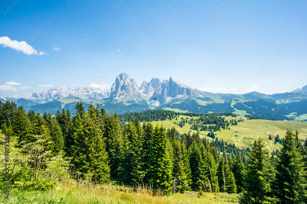 Panorama view from alp of Siusi, near Ortisei, Dolomites, Italy.