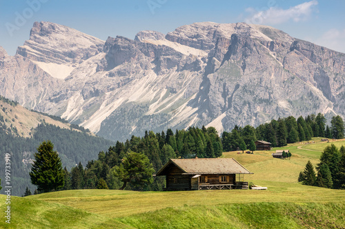 Huts on the Alpe di Siusi with mountains in the background