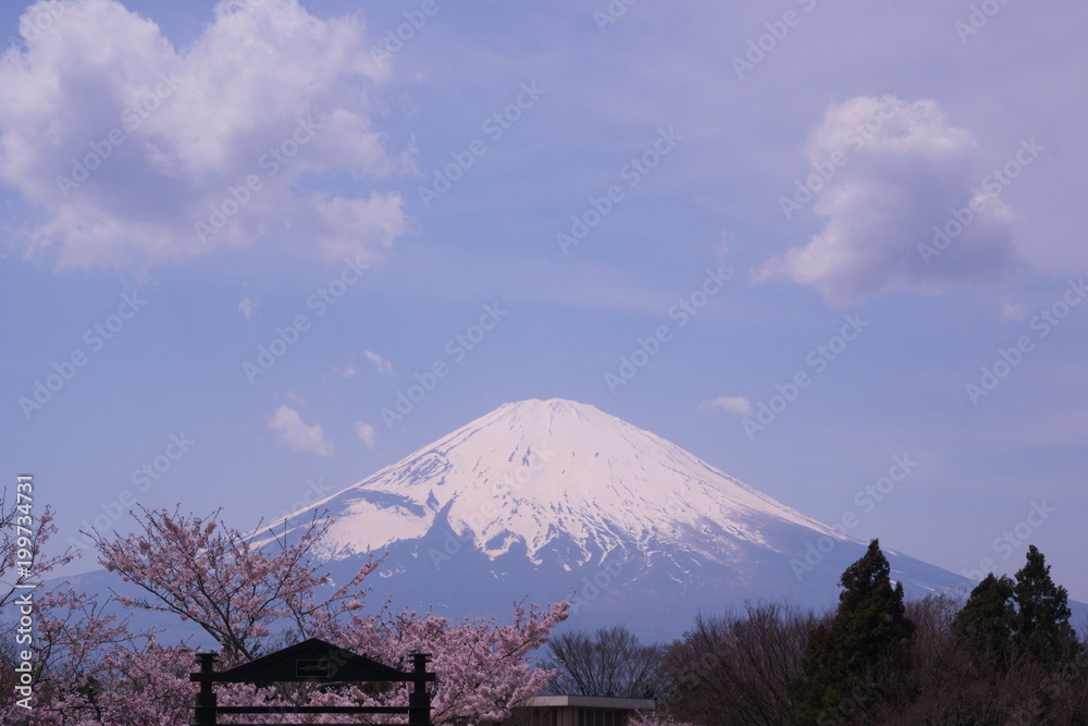 Obraz premium landscape