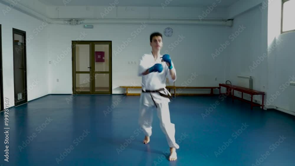 Young karateist practicing karate moves in the gym. Young karateist practicing karate moves in the gym.
