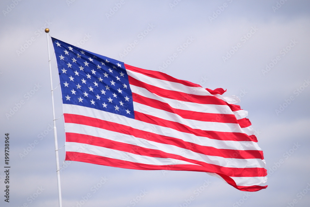 Fototapeta premium American Flag
