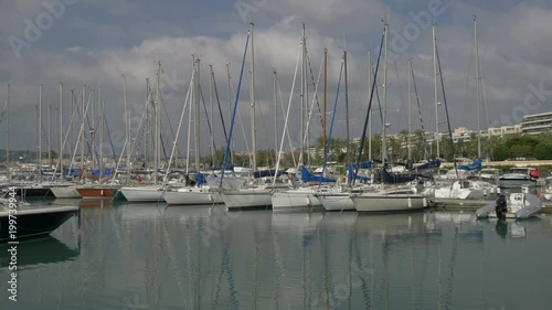 Sailing boats anchored in a port photo