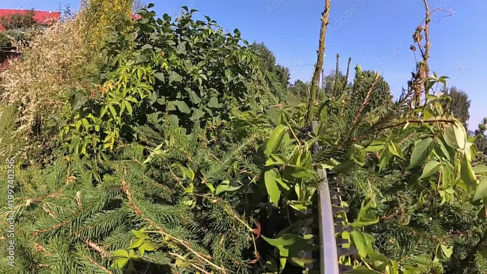 Hedge and Bush Trimming POV Slow Motion Hedge and Bush Trimming POV Slow Motion