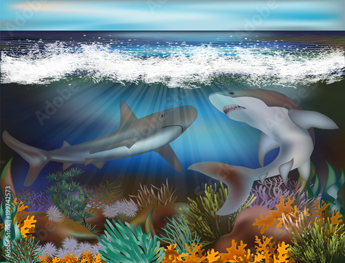 Underwater tropical background with Sharks, vector illustration